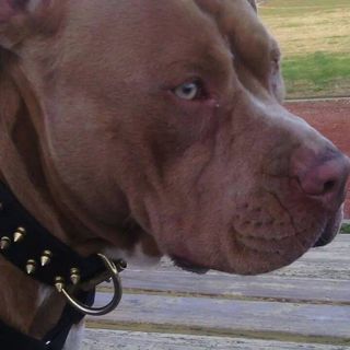 Profile Picture of Ann Ytuarte (@Ann-Ytuarte) on Facebook