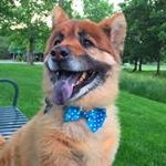 Profile Picture of Humphrey (@humphreychowgie) on Instagram