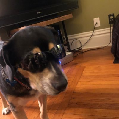 Profile Picture of James Dudek (@JamesDudek7) on Twitter