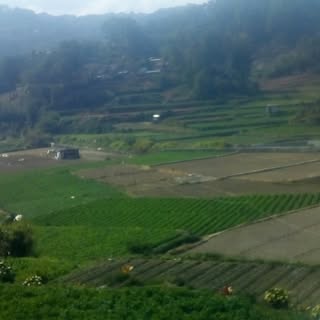 Profile Picture of Alvin Statham (@stathamalvin) on Instagram