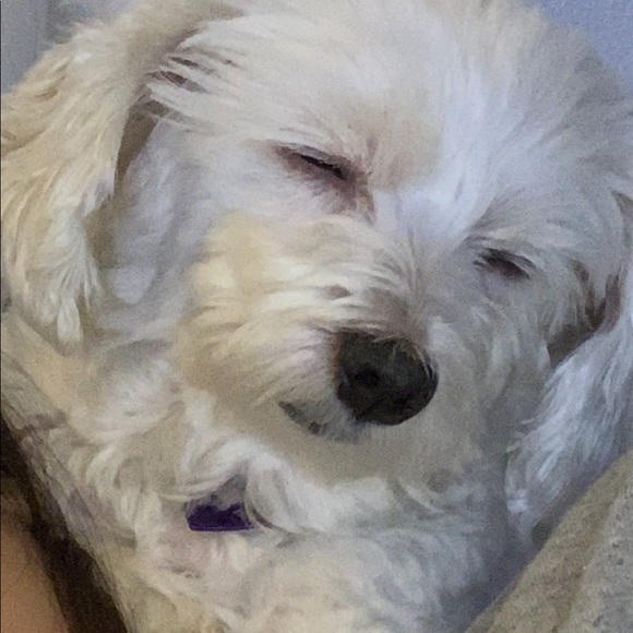 Profile Picture of Brian Nuss (@bdnuss) on Poshmark