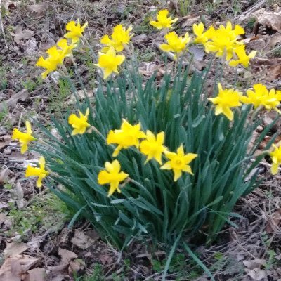 Profile Picture of Ren Reed (@RenReed5) on Twitter