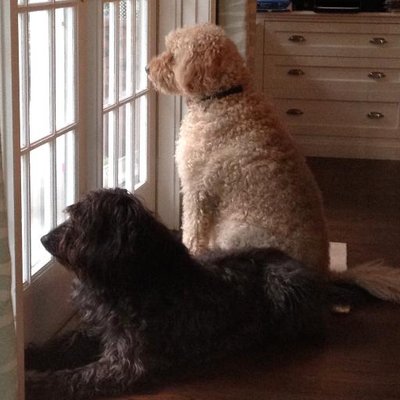 Profile Picture of Michael Hendel (@underhated4) on Twitter