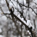 Profile Picture of Ryan Asmussen (@joshumu313) on Instagram