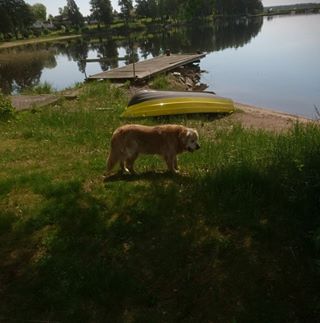 Profile Picture of Susanne Engel (@susanne.engel.52) on Facebook