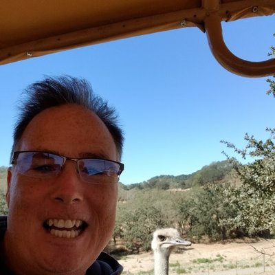 Profile Picture of Bill Sanderson (@billsanderson40) on Twitter