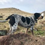 Jeff Forster / JDF-Woodworking - Instagram Profile Picture of Jeff Forster / JDF-Woodworking (@jdf_woodworking) on Instagram