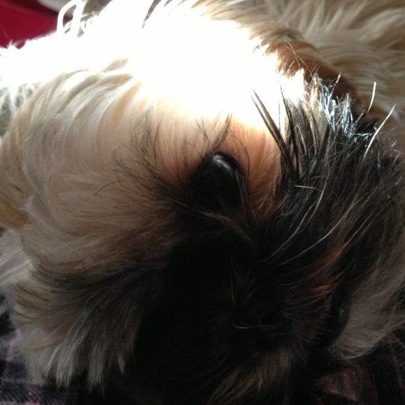 Profile Picture of Angie Walkush (@awalkush) on Poshmark