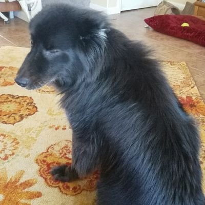 Profile Picture of Kai Kealoha (@kai_kealoha) on Twitter