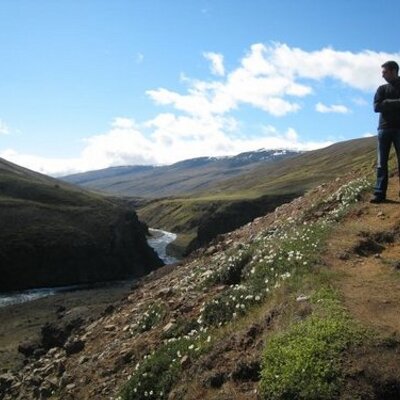 Profile Picture of Steve Roman (@nonannoyance) on Twitter