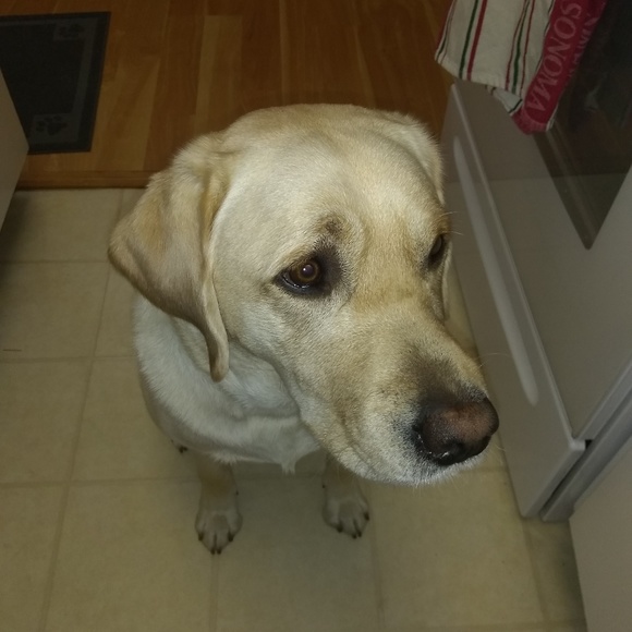 Lori Covak - Poshmark Profile Picture of Lori Covak (@lori_covak) on Poshmark