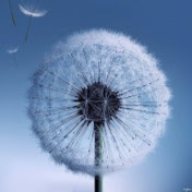 Profile Picture of Annie Nguyen (@annienguyen2389) on Youtube