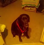 Profile Picture of Poara Ormsby (@poara.ormsby) on Facebook