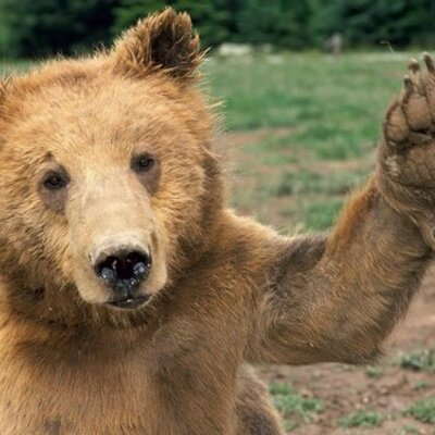 Profile Picture of Joe Harman (@barehigh) on Twitter