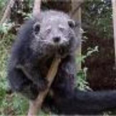 Bill Bryan - Twitter Profile Picture of Bill Bryan (@billbryan1953) on Twitter