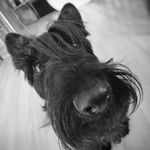 Profile Picture of Berta the Scottish Lady (@berta_the_scottish_lady) on Instagram