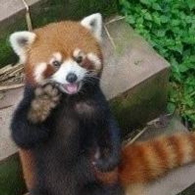 Profile Picture of Danny (@Danny__Wei) on Twitter