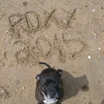 Profile Picture of Nick Booker (@nbooker) on Instagram