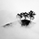 Profile Picture of Raphael.a (@raphael.a) on Flickr