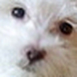 Profile Picture of Blue Skies Treasures (@blue skies treasures) on Flickr
