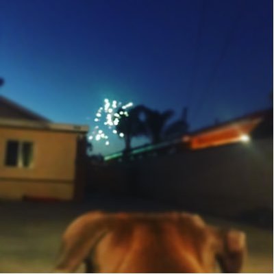 Profile Picture of Ranker (@RobertSendis) on Twitter