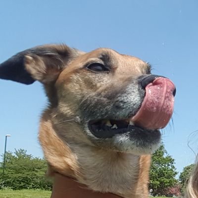 Matt Parr - Twitter Profile Picture of Matt Parr (@mattparr16) on Twitter