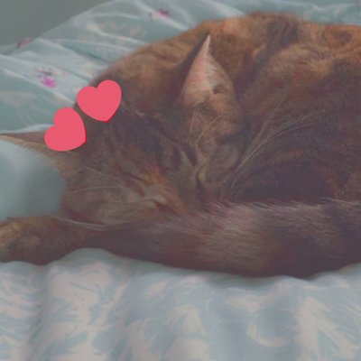 Profile Picture of Amelia Shannon (@Amelias97654344) on Twitter