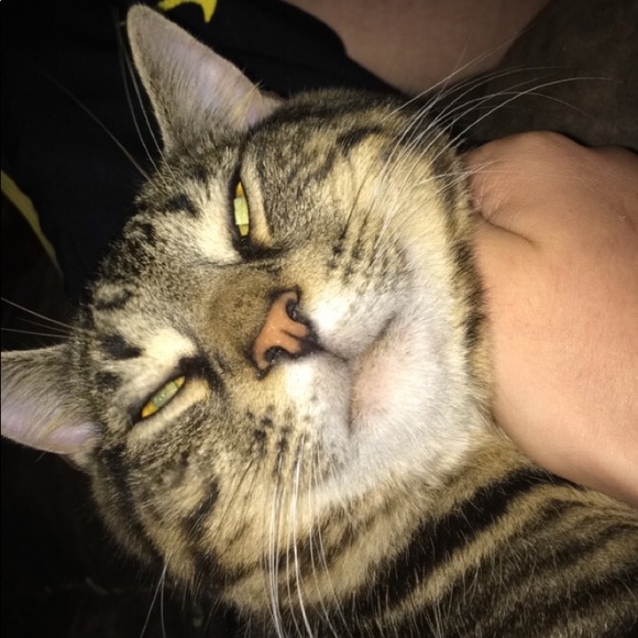 Profile Picture of Bryce Adams (@bryce_adams_21) on Poshmark