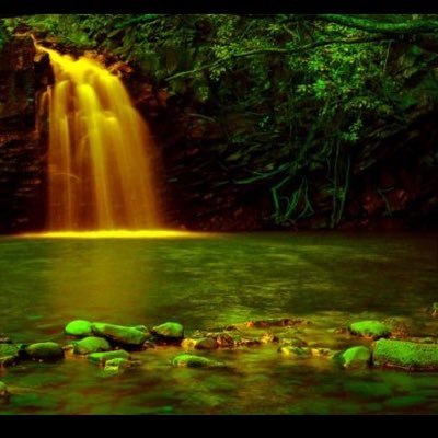 Profile Picture of Nick Reyna (@NickReyna_gold) on Twitter