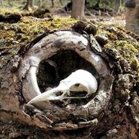 Profile Picture of Birgit Ann Moore (@birgit-ann-moore) on Quora