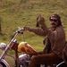 Profile Picture of Paul Wesolowski (@paulwes01) on Pinterest