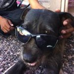 Profile Picture of Ivan Barnett (@quefobr) on Instagram