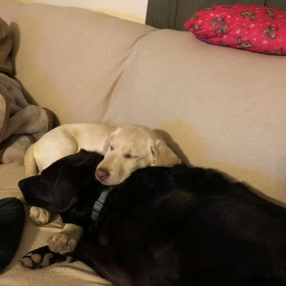 Profile Picture of Candace Bailey (@candacebailey) on Poshmark