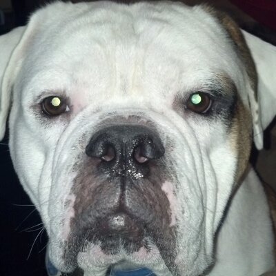 Profile Picture of Brett Bartels (@bartelsb85) on Twitter