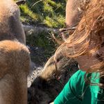 Profile Picture of Elif Celik (@a_la_celik_store) on Instagram