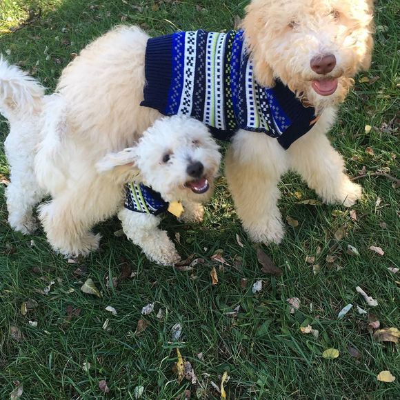 Profile Picture of Nelly Gonzalez (@nellygonz) on Poshmark