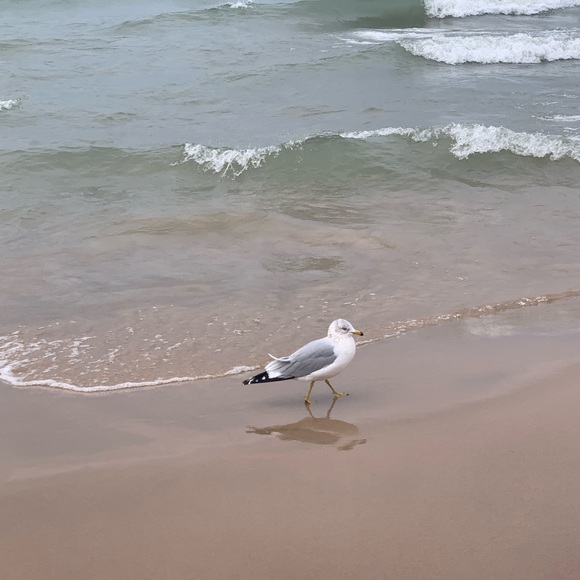 Profile Picture of Newtome Newtoyou (@robynfry) on Poshmark