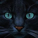 Profile Picture of Liliana Lidia Olivieri (@lilianalidiaolivieri) on Instagram