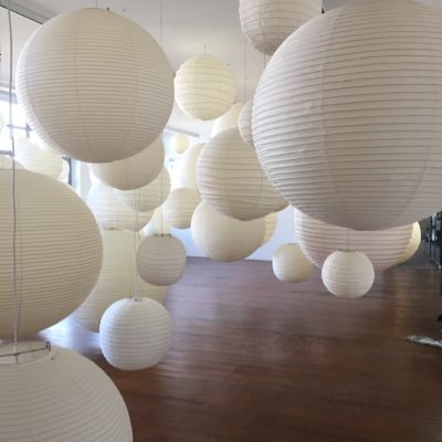 Profile Picture of Ann Biddlecom (@annbiddlecom) on Twitter