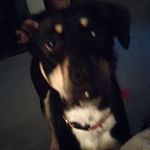 Profile Picture of Darrell Mcclain (@mcclaindarrell) on Instagram