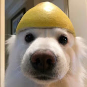 Profile Picture of Zhang Zheng (@Zhangzheng158) on Youtube