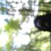 Profile Picture of Damion Sinclair (@damion.sinclair.73) on Facebook