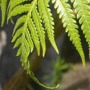 Profile Picture of Amanda Allison (@amandaallison2102) on Youtube