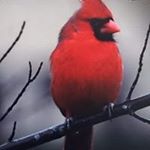 Profile Picture of kenneth (@lammers.ken1) on Instagram