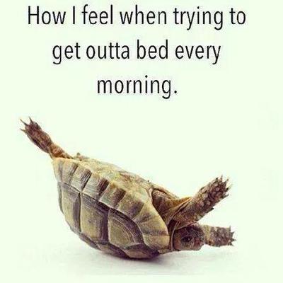 Jerry Rand - Twitter Profile Picture of Jerry Rand (@JerryRand) on Twitter