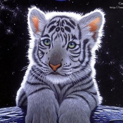 Profile Picture of Manon Becker (@ManonCheyenne) on Twitter