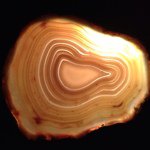 Profile Picture of Christopher Harman (@crow_hop) on Instagram