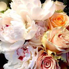 Profile Picture of Peyton Hayslip (@peytonhayslip) on Tiktok