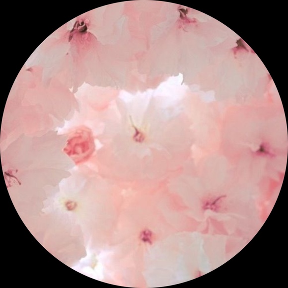 Profile Picture of Lillian Wang (@lilliannwangg) on Poshmark