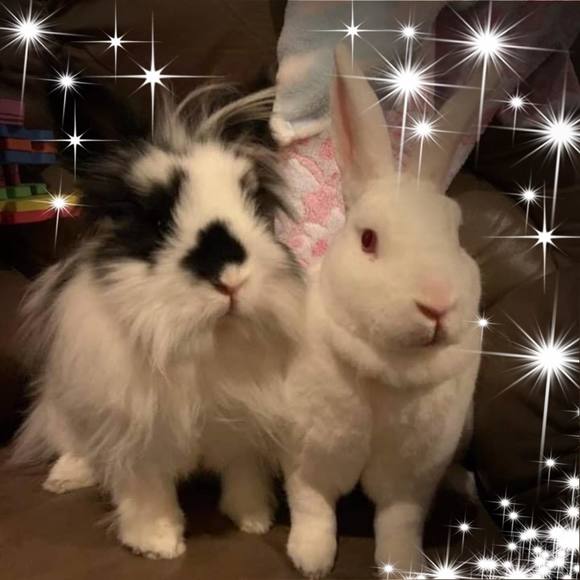 Profile Picture of Nathaly Migneault (@nmigneault) on Poshmark